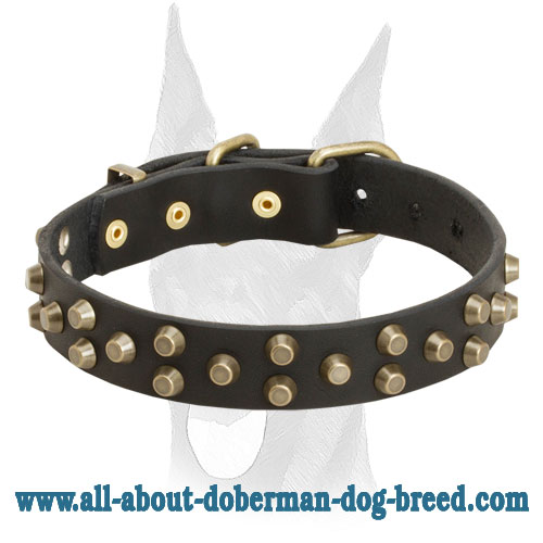Comfortable and safe leather Doberman collar with symmetrical brass pyramids