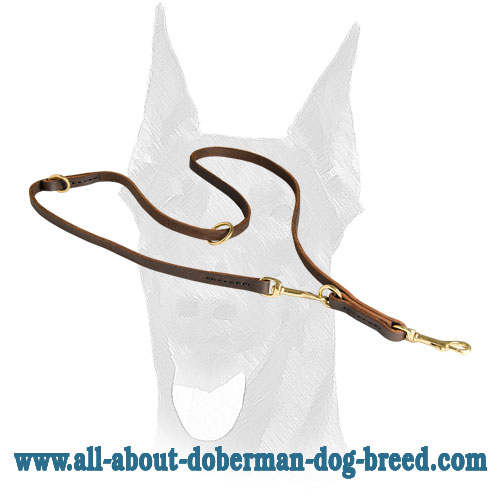 Leather Doberman leash for training, walking, tracking
