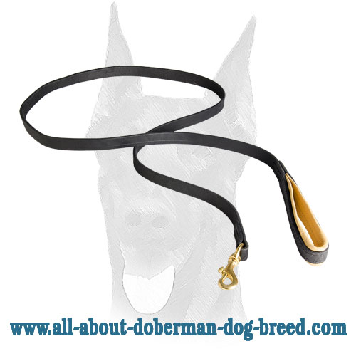 Handmade Strong 6ft Dog Leash for Doberman