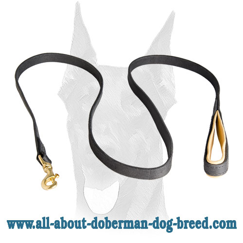 Leather dog leash with support material on the handle for Doberman - Click Image to Close