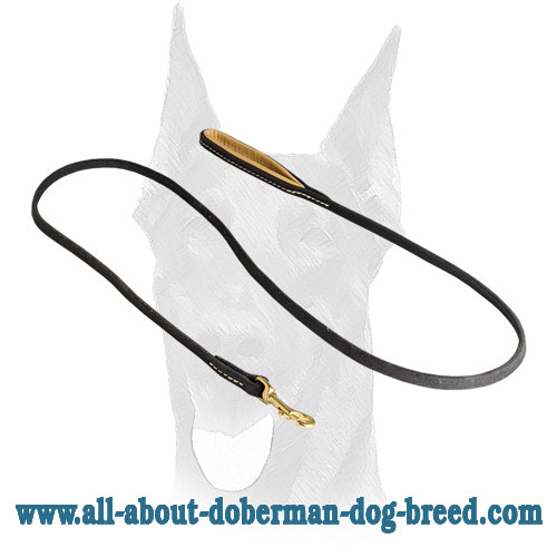 Genuine quality stitched leather leash for Doberman