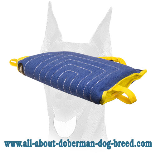 Puppy bite sleeve made of French linen material for start train