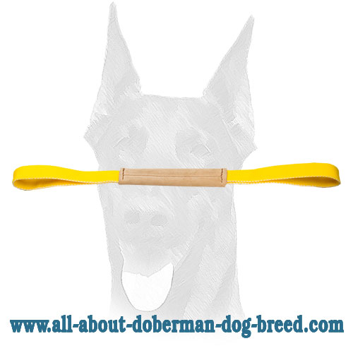 Leather obedience Doberman bite tug : Doberman Breed: Dog harness, Muzzle,  Collar, Leash | 2023 [BUY NOW]