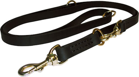 Dog Leash Training for Doberman -Training Lead