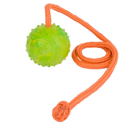 Training DOG BALL on a String-Dog Rubber Ball for Doberman - Click Image to Close