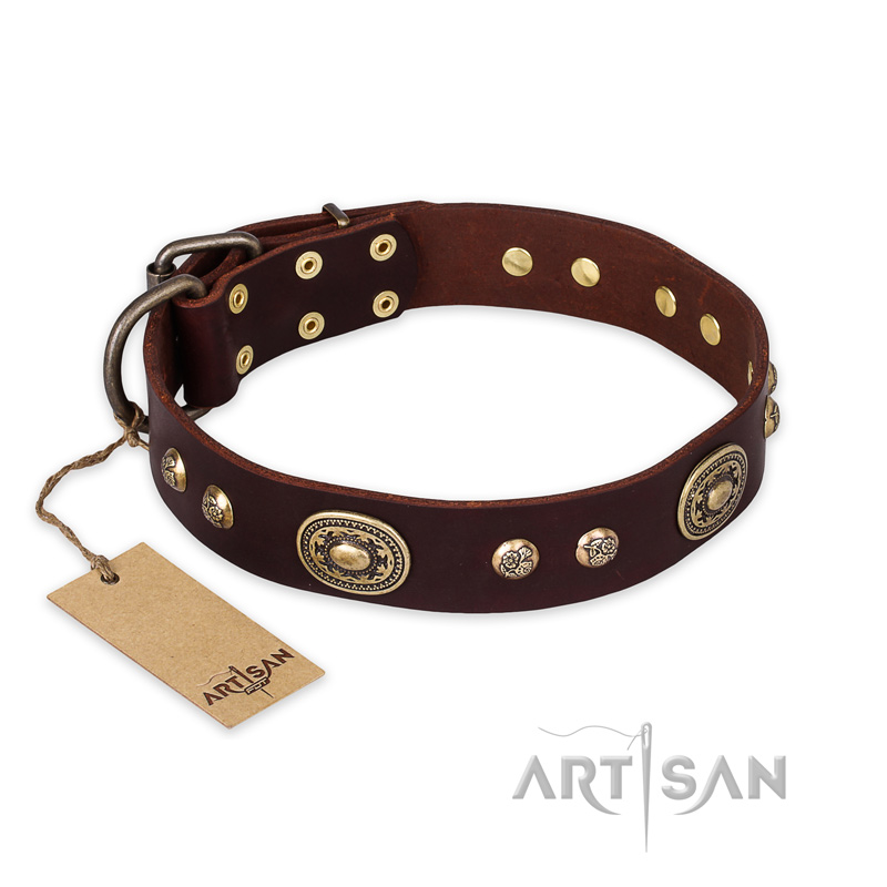 'Breath of Elegance' FDT Artisan Decorated with Plates Brown Leather Doberman Collar - Click Image to Close
