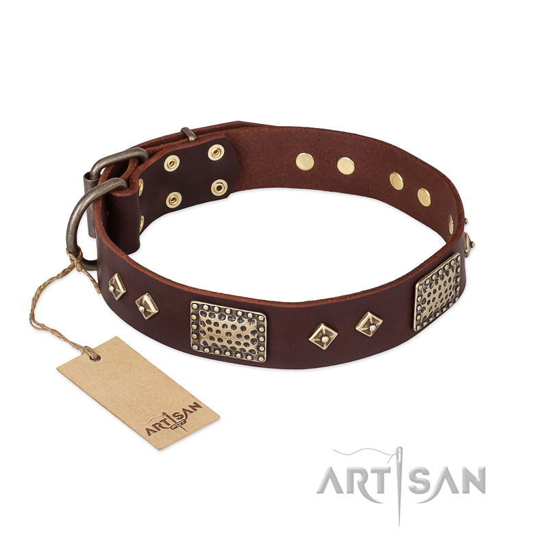 FDT Artisan 'Loving Owner' Decorated Leather Doberman Dog Collar with Plates and Studs 1 1/2 inch (40 mm) - Click Image to Close