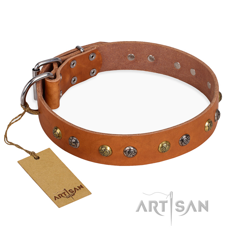 'Golden'n'Silver Luxury' FDT Artisan Leather Doberman Collar with Engraved Studs - Click Image to Close
