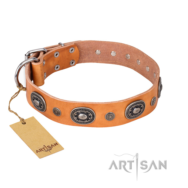 'Twinkle Twinkle' FDT Artisan Incredible Studded Tan Leather Doberman Collar with Silver-Like Circles