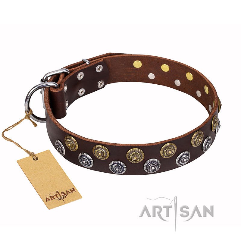 'Strong Shields' FDT Artisan Leather Doberman Collar with Set of Large Studs