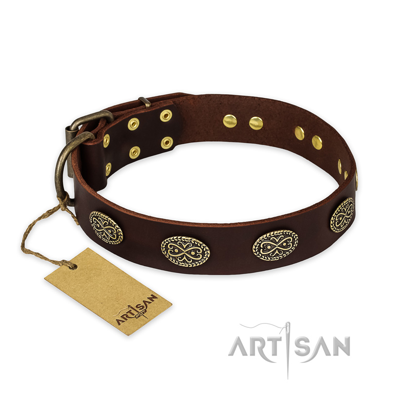 'Chocolate kiss' FDT Artisan Leather Doberman Collar with Old Bronze Look Oval Plates