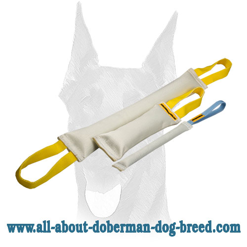 Fire Hose Bite Tugs Training Set