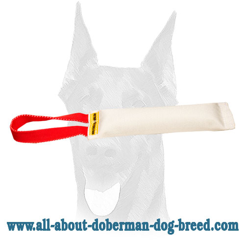 Fire Hose Dog Bite Tug With Handle