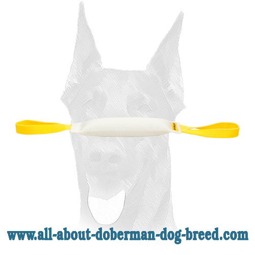 Fire Hose Doberman bite tug with two strong handles