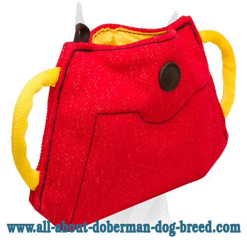 French Linen bite builder for young Doberman or puppy training