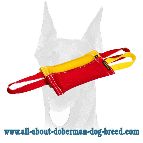Puppy training tugs of French Linen for Doberman