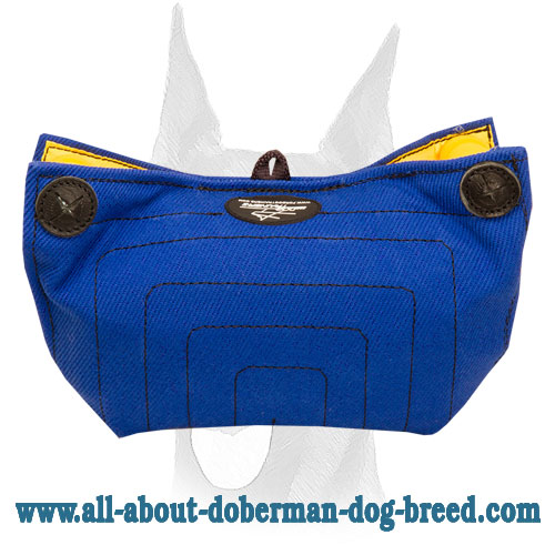 Doberman Puppy Bite Builder of French Linen - Click Image to Close