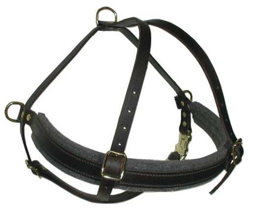 Full Chest Latigo Roading Harness for Doberman