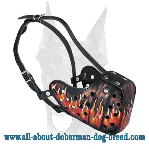 Doberman Leather Dog Muzzle for Training and Walking