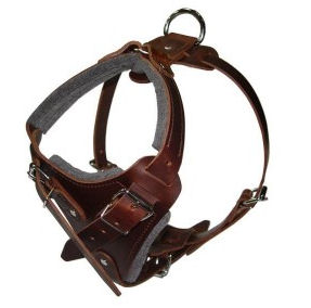 Hands Free Control Dog Harness for Doberman