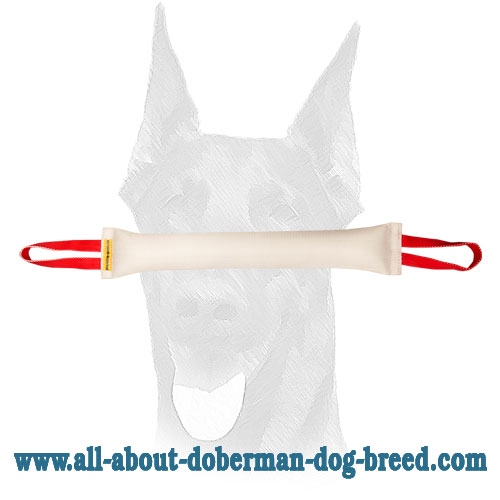Fire Hose Doberman bite tug with two long handles