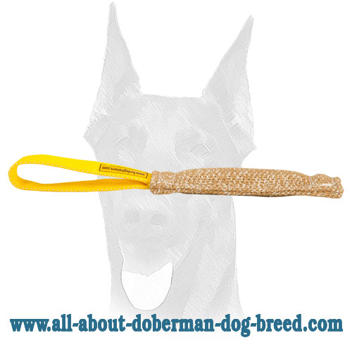 Jute Doberman puppy bite tug with comfy loop