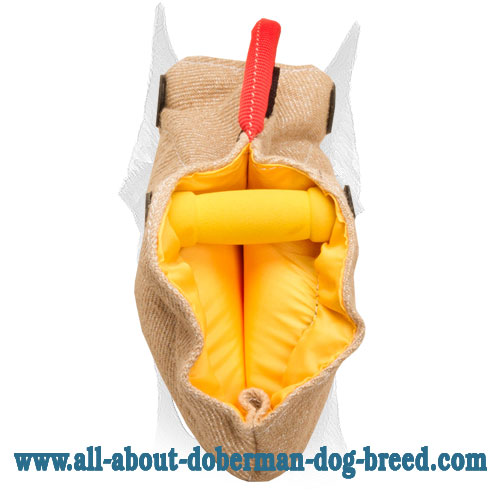 Puppy and Young Dog Bite Builder for Doberman