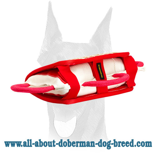 Training Doberman bite pillow with removable jute cover