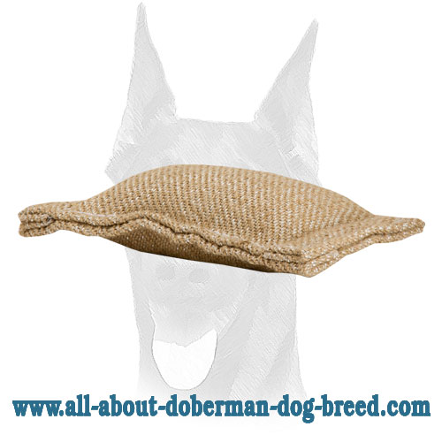 Doberman puppy bite tug without handles made of jute