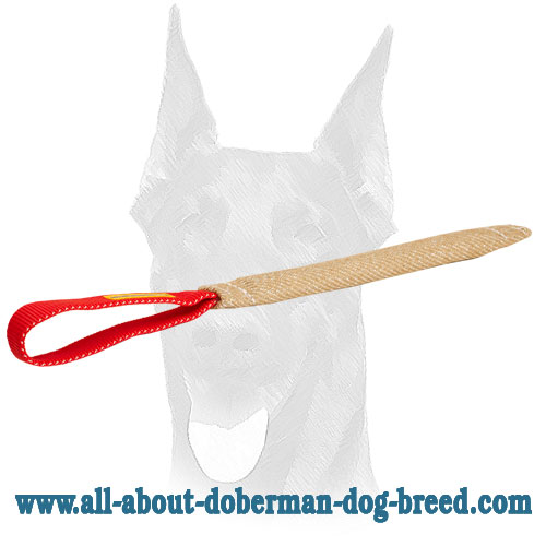 Pocket toy made of jute with handle for Doberman