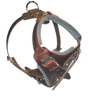 SIMILAR to Gappay Leather Defense Harness for Doberman - Click Image to Close
