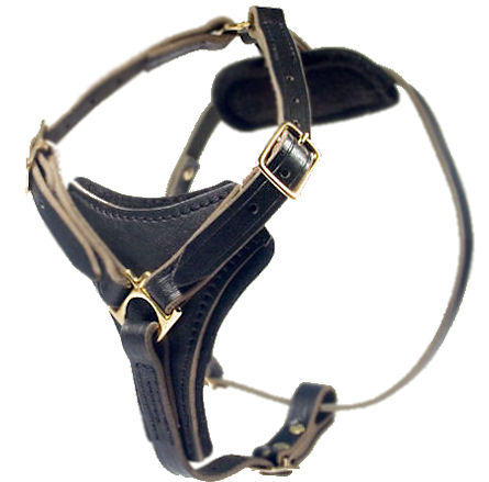 Latigo Adjustable Harness-Doberman Leather Harness - Click Image to Close