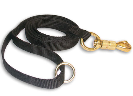 Nylon Dog Leash 6 ft-72 inch