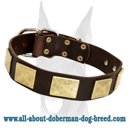 Handcrafted Leather Dog Collar With Vintage Massive Plates