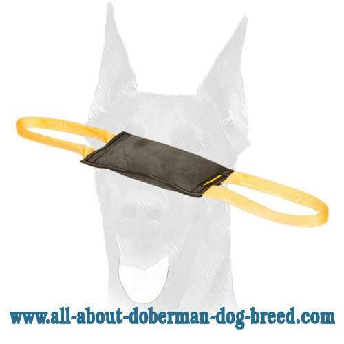 Leather Doberman bite tug for a puppy or young dog training