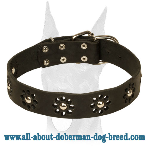 Spring Fashion Leather Doberman Collar for Stylish Walks