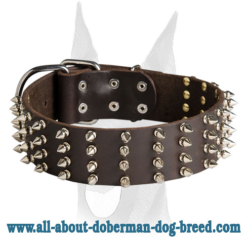 Stylish elegant 2 inch wide spiked leather Doberman collar