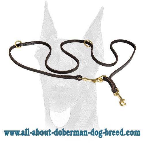 Multifunctional English leather leash for Doberman