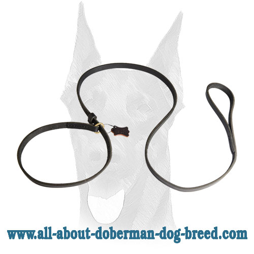 Leather Slip Lead 6 FT on 1/2'' for Doberman