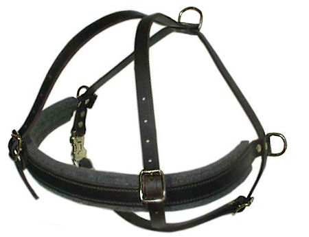 Doberman military harness top