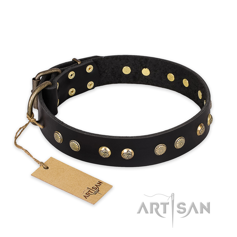 'Black Elegance' FDT Artisan Doberman Leather Dog Collar with Round Studs