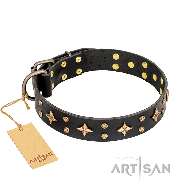 "A La Mode" FDT Artisan Premium Quality Black Leather Doberman Collar