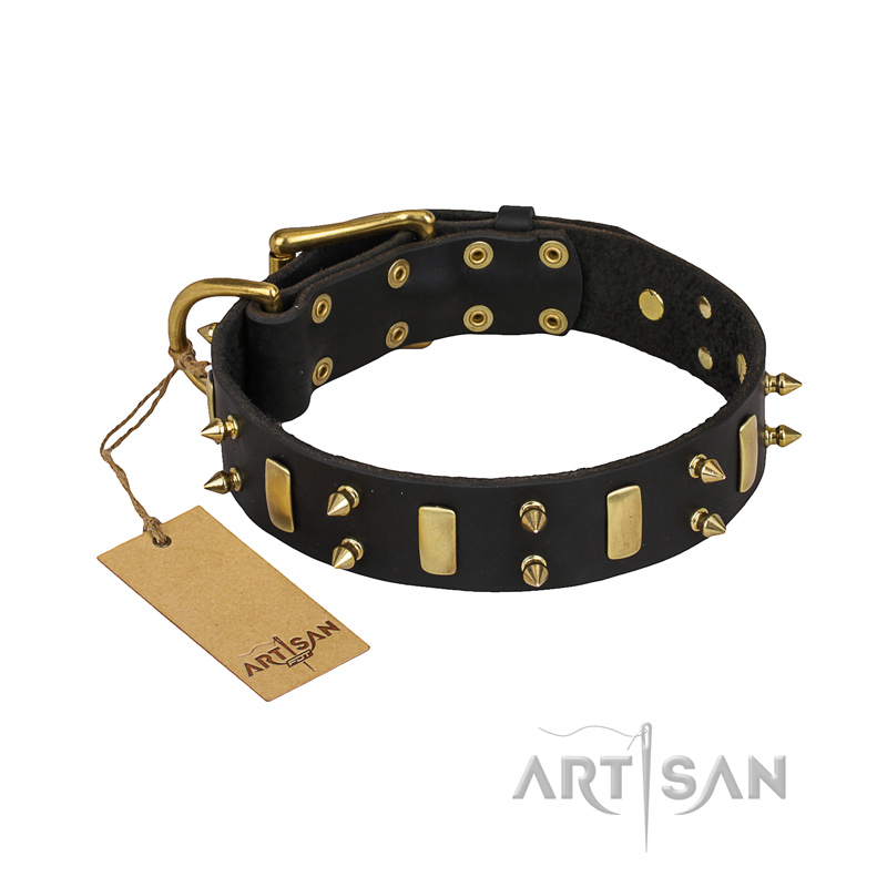 "Medieval Style" Leather Doberman Collar with Brass Plates and Spikes "Medieval Style" Leather Doberman Collar with Brass Plates and Spikes