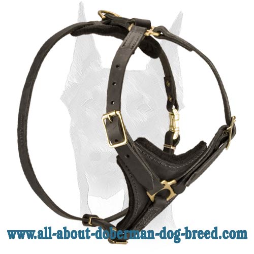 Perfect Fit Stylish Leather Doberman Harness