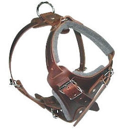 Medium dog Harness for Doberman -Leather Harness