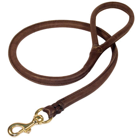 Doberman Breed Braided Leather Leash: Designer Dog Leash