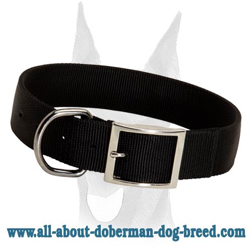 2 ply durable nylon collar for Doberman