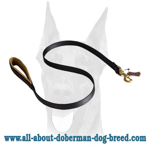 Nylon dog leash with support material on the handle for Doberman