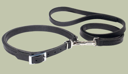 Leather Patent Dog Leash collar for Doberman