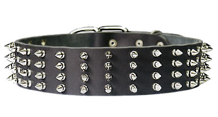 Protector Full Spiked 2 inch collar for Doberman - Click Image to Close